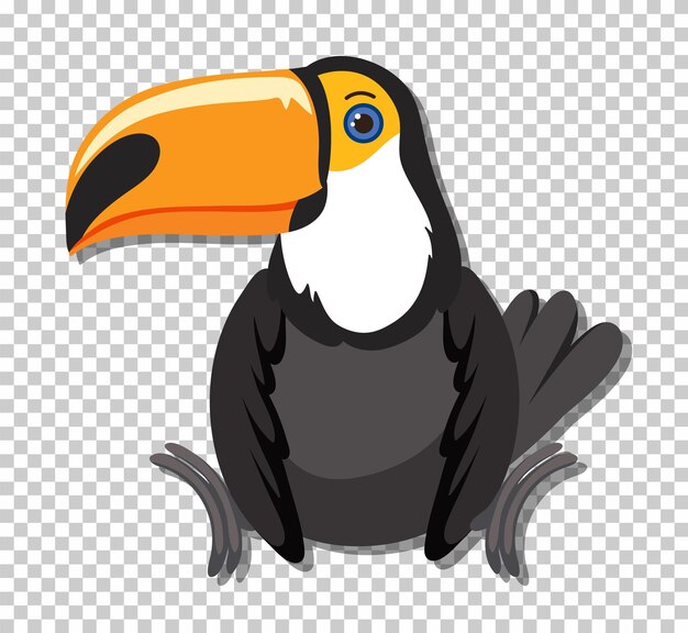 Cute toucan bird in flat cartoon style