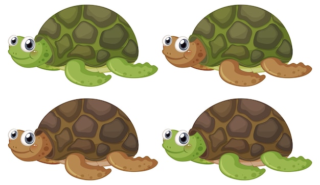 Free vector cute turtle cartoon character on white background