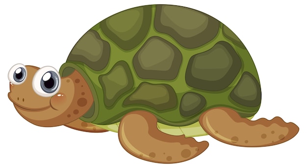 Free Vector cute turtle cartoon character on white background