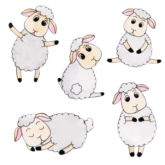 Cute Watercolor Autumn Sheep Collection