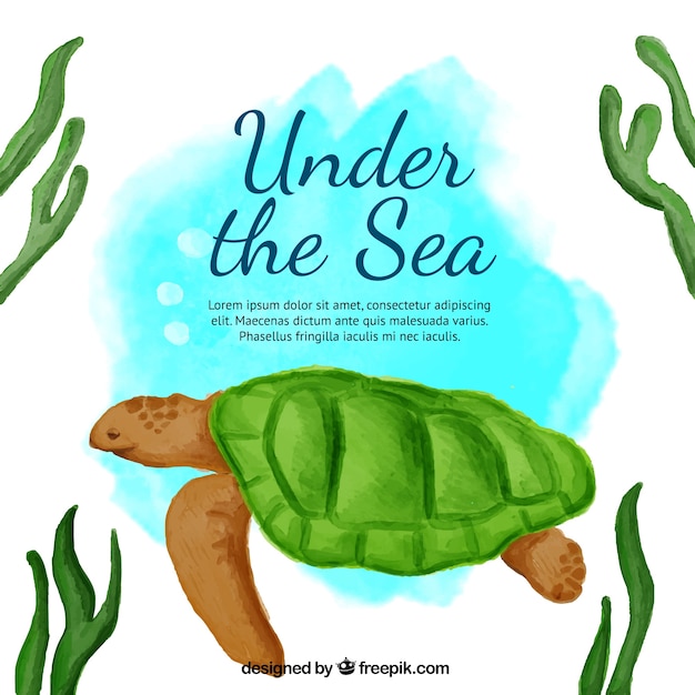 Free Vector cute watercolor background with a turtle