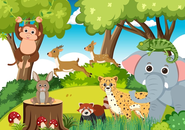 Cute wild animals in the forest