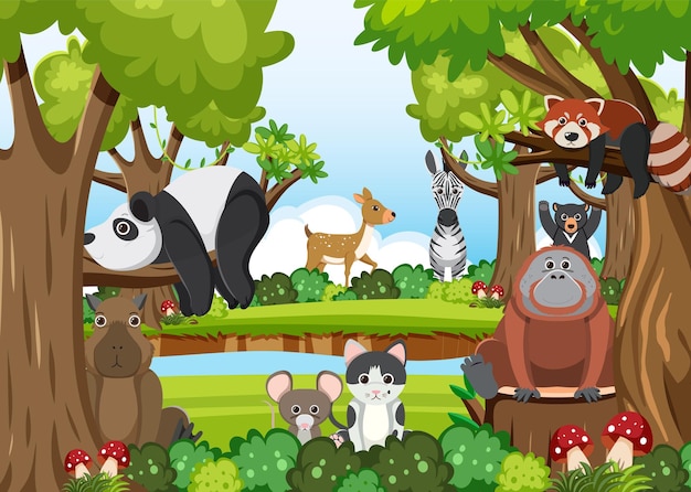 Free Vector cute wild animals in the forest