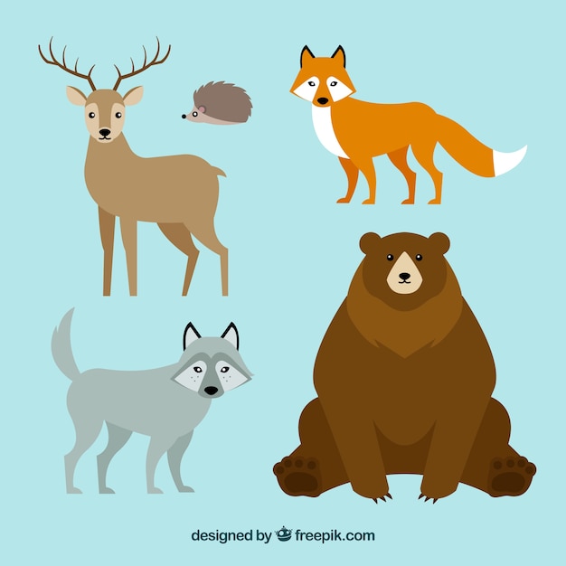 Free Vector cute winter animal collection