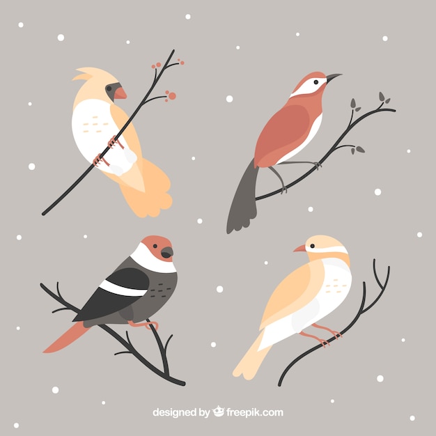 Free Vector cute winter birds