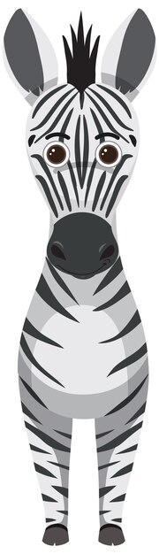 Cute zebra in flat cartoon style