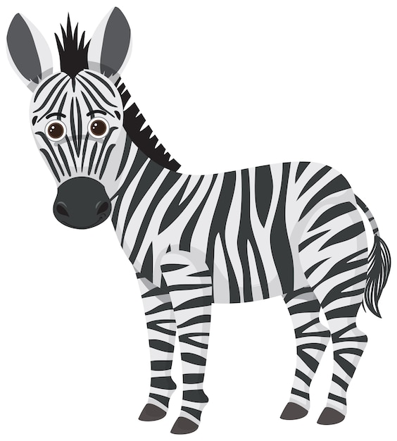 Free vector cute zebra in flat cartoon style