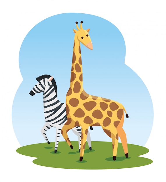 Cute zebra and giraffe wild animals