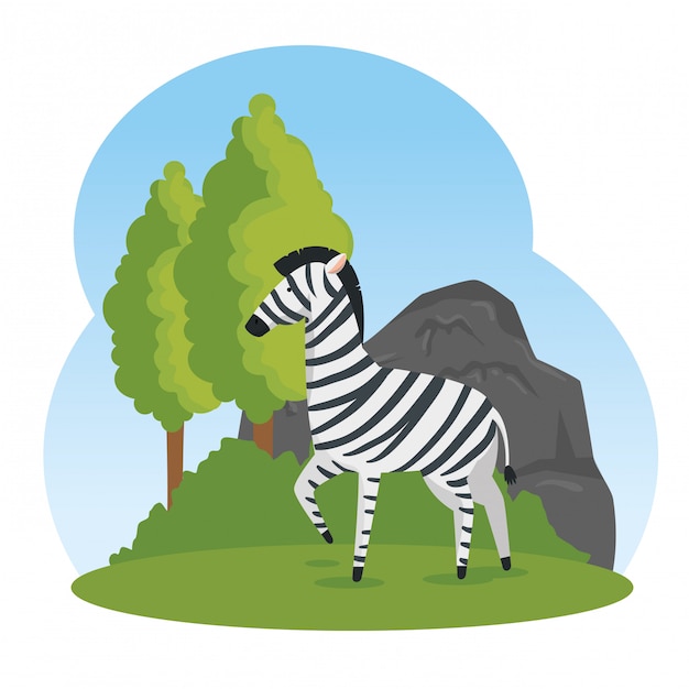 Cute zebra wild animal reserve