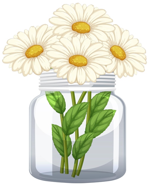 Free Vector daisies in a glass jar illustration