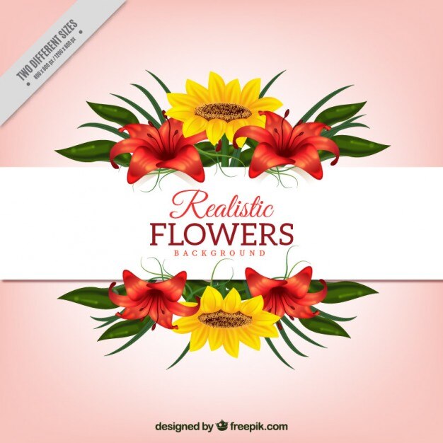 Daisies and red flowers with leaves background