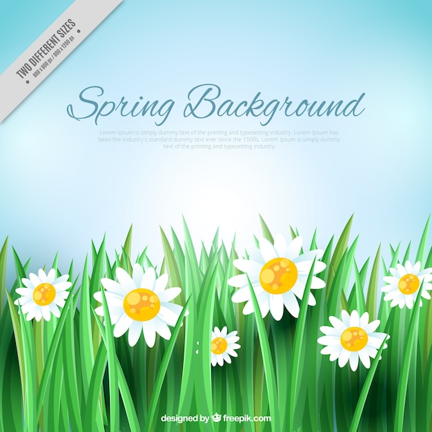 Free vector daisy and grass background