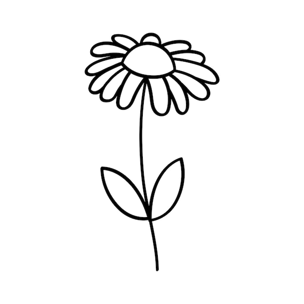 Free vector daisy hand drawn outline