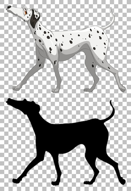 Free Vector dalmatian dog and its silhouette