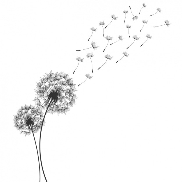 Free Vector dandelion background design