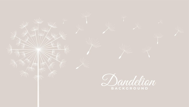 Free vector dandelion tea leaves flying seeds background