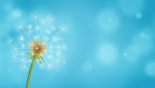 Free Vector dandelion tea seeds flower blue background