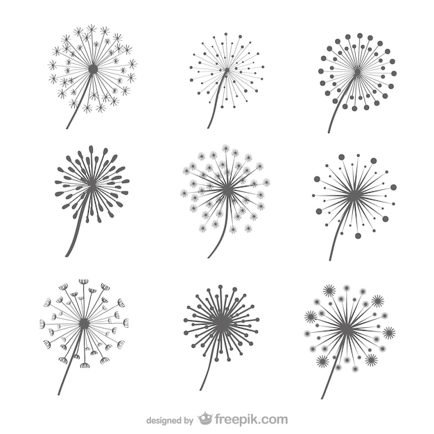 Free Vector dandelions collection