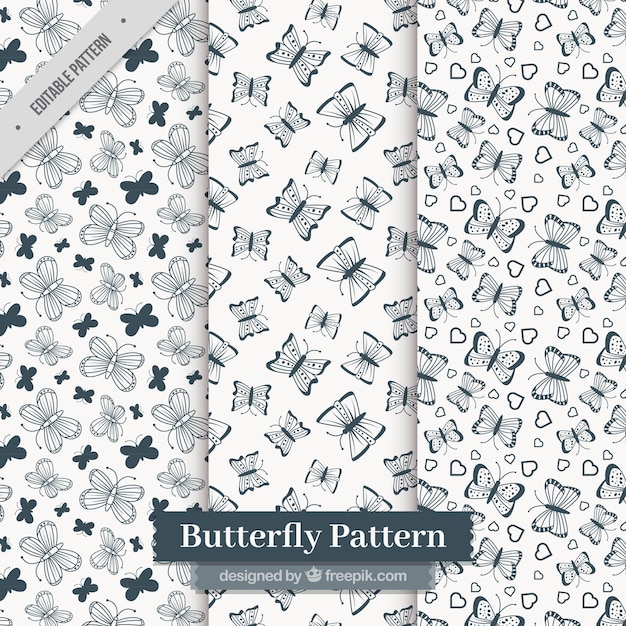 Dark blue patterns of butterflies