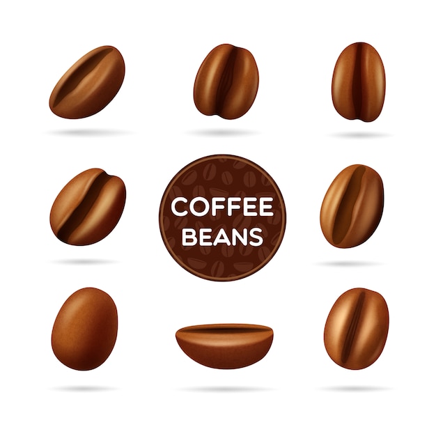 Dark roasted coffee beans set in different positions and round label 