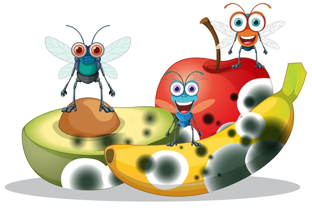 Free vector decompose fruit and fly