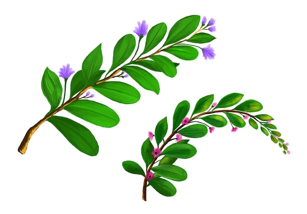 Free Vector decorative bunvh plants green leaf design