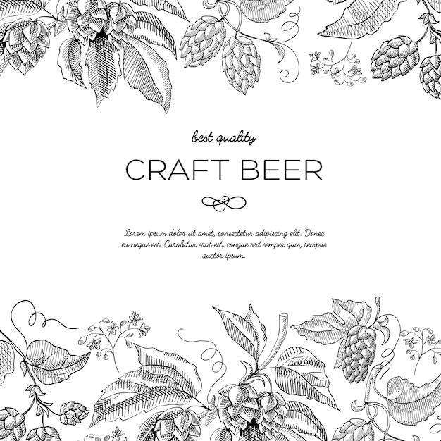 Free Vector decorative design sketch postcard with hops, berries and foliage with inscription that craft beer is best quality