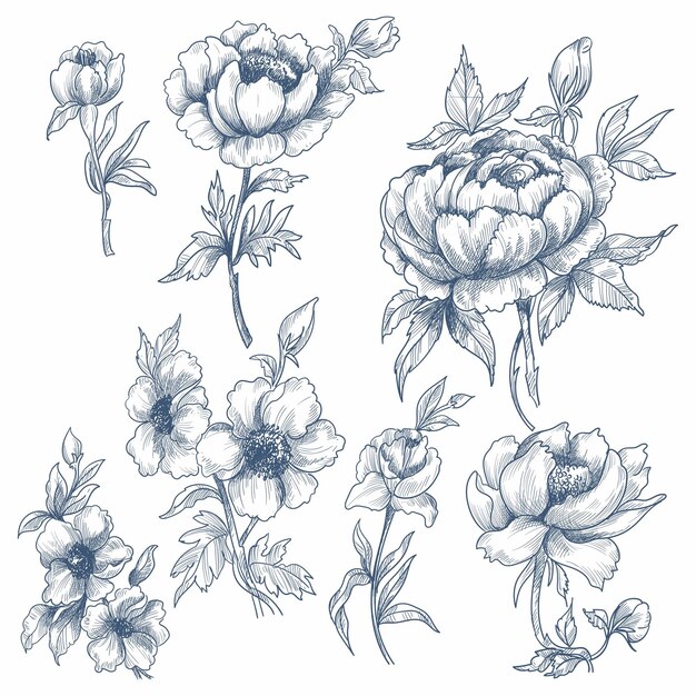 Decorative floral sketch set beautiful design