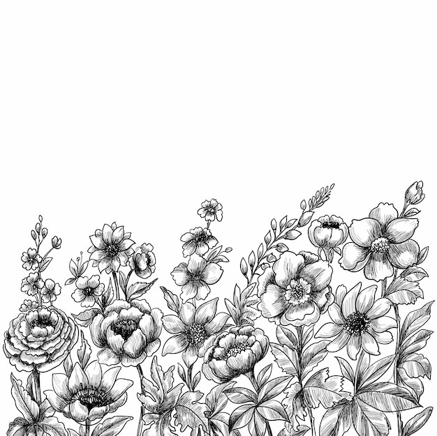 Decorative floral sketch