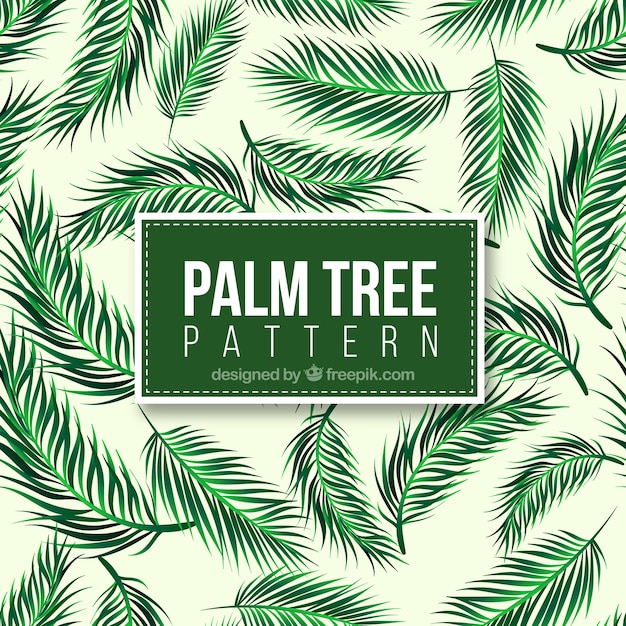 Decorative pattern of realistic palm tree leaves