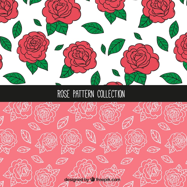 Free vector decorative patterns of hand-drawn roses