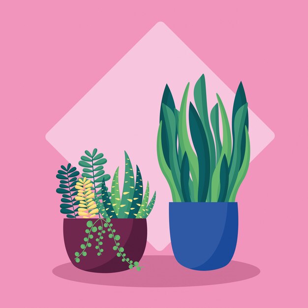 Decorative plants flat image design