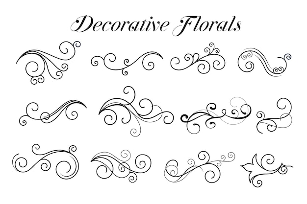 Decorative swirl floral ornaments collection