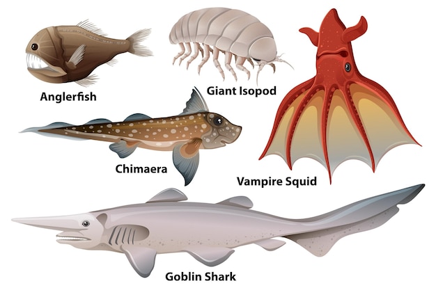 Free Vector deep sea creatures collection