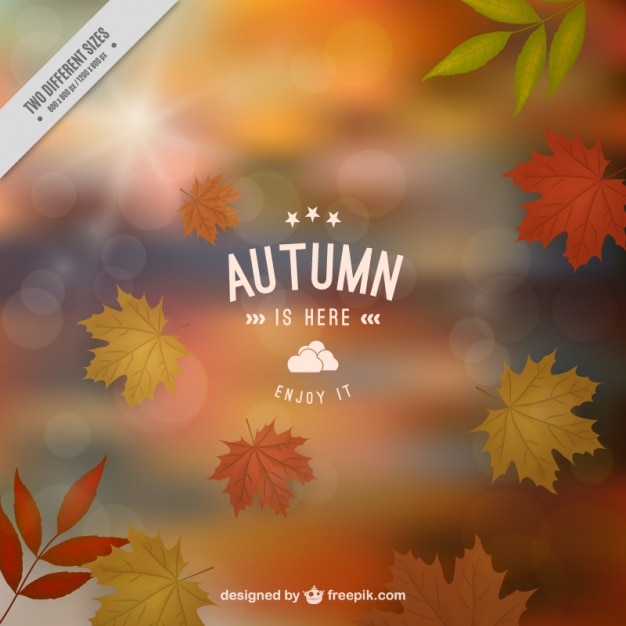 Free Vector defocused background with autumn leaves