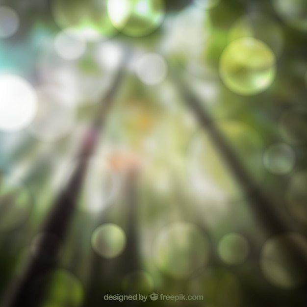 Free Vector defocused forest background