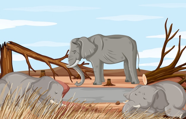 Free Vector deforestation scene with dying elephant