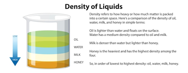 Free Vector density of liquids science experiment