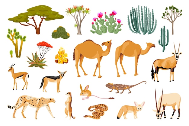 Free vector desert flora and fauna cartoon set of reptile camel leopard snake goat jackal cactus isolated vector illustration