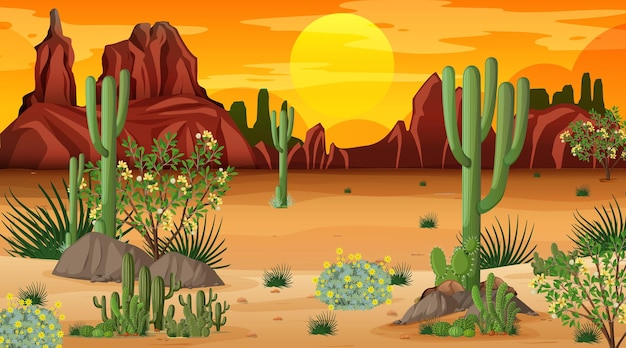 Free vector desert forest landscape at sunset time scene with many cactuses