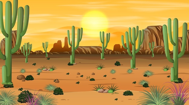 Free Vector desert forest landscape at sunset time scene with many cactuses