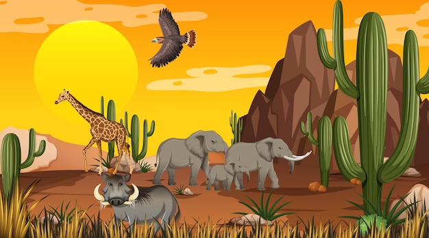 Desert forest landscape at sunset time scene with wild animals