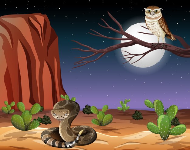 Desert with rock mountains and desert animals landscape at night scene