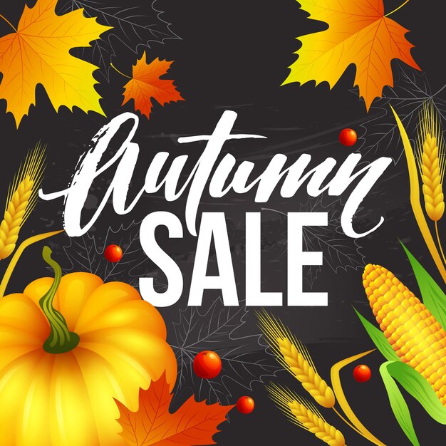 Design banner Autumn sale. Fall poster design with pumpkin, leaves and spikelets. Vector illustration EPS10