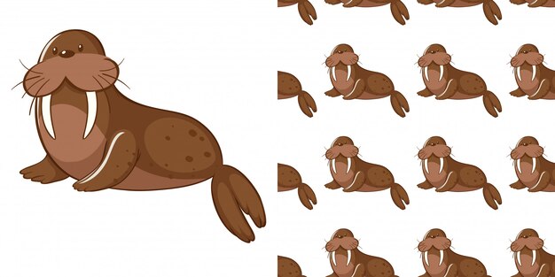 design with seamless pattern cute sea lion