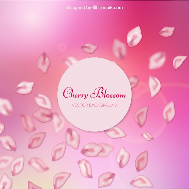 Free Vector detailed cherry blossom background