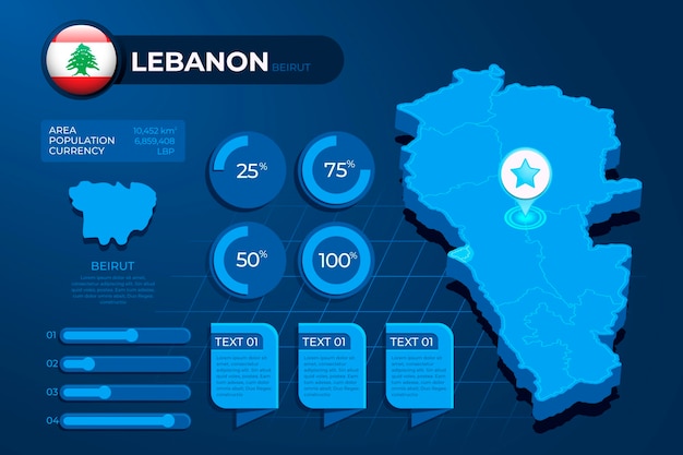 Free Vector detailed isometric lebanon map