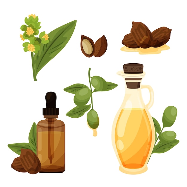 Free Vector detailed jojoba element collection