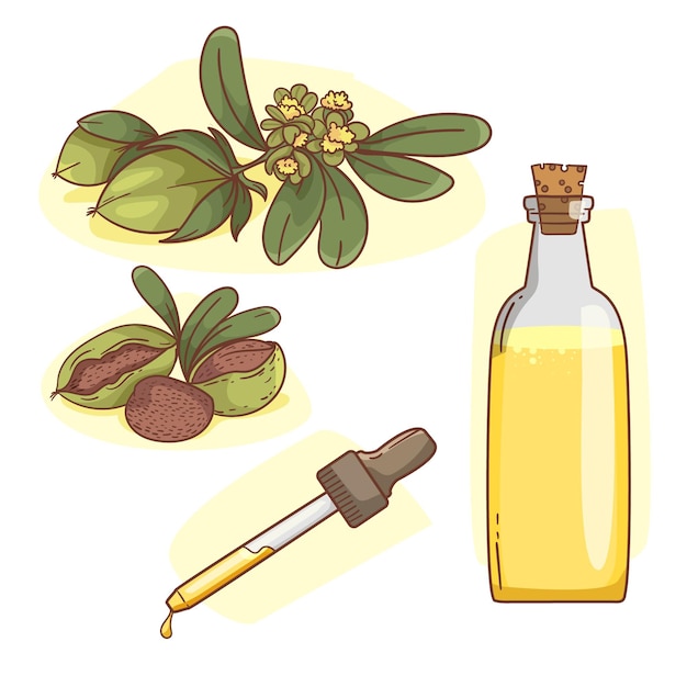 Free vector detailed jojoba element collection