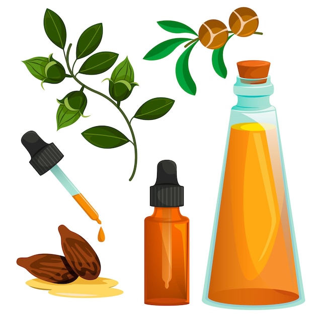 Free vector detailed jojoba element collection